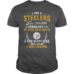 STEELERS  02 Fan
