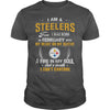 Image of STEELERS  02 Fan
