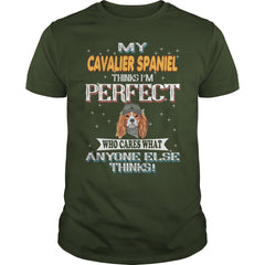 CAVALIER SPANIEL Thinks I'm Perfect