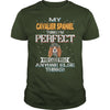 Image of CAVALIER SPANIEL Thinks I'm Perfect