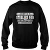 Image of STEELERS Fan