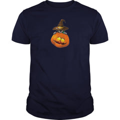 pumpkin cat halloween