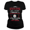 Image of STEELERS  02 Fan