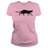 Image of Black cat