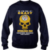 Image of Steelers Fan TShirt