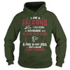 Image of FALCONS Fan