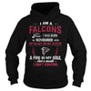 Image of FALCONS Fan