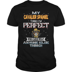CAVALIER SPANIEL Thinks I'm Perfect