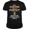 Image of CAVALIER SPANIEL Thinks I'm Perfect