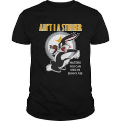 STEELERS Tshirt LIMITED EDITION